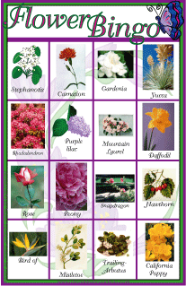 Flower Bingo
