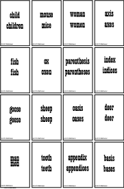 the irregular noun bingo set