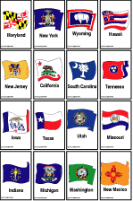 State Flag Bingo Game