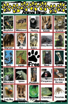 African Animals Bingo