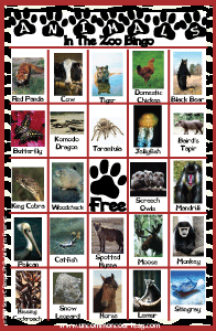 Animals In The Zoo Bingo