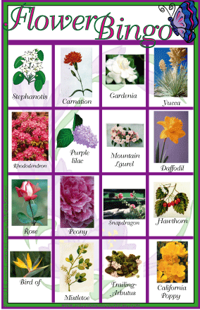 Flower or Botanical Bingo Game